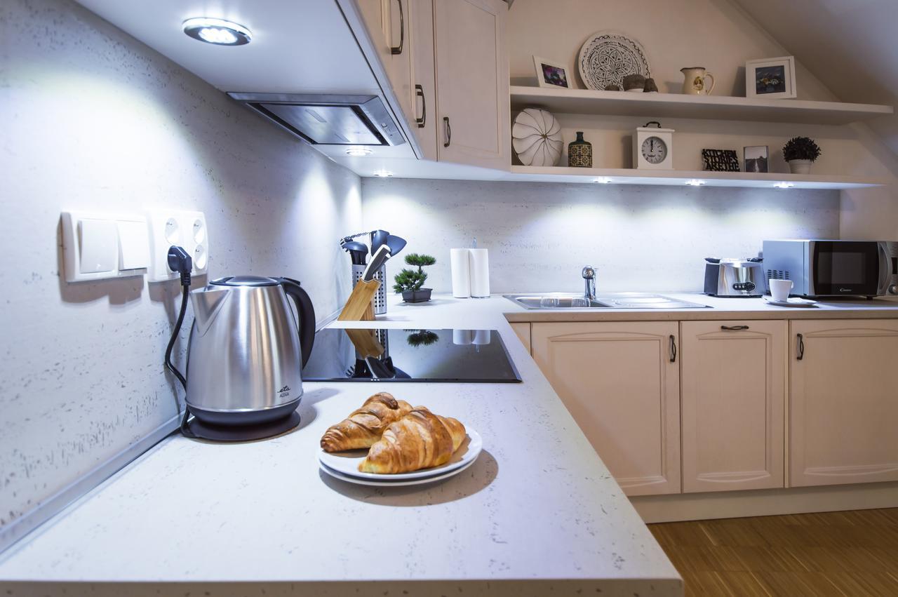 Modern Charvátova Appartement Praag